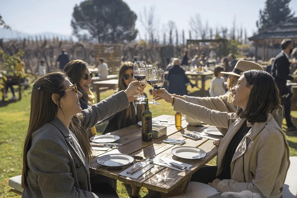 Grupo de amigos brindando entre viñedos